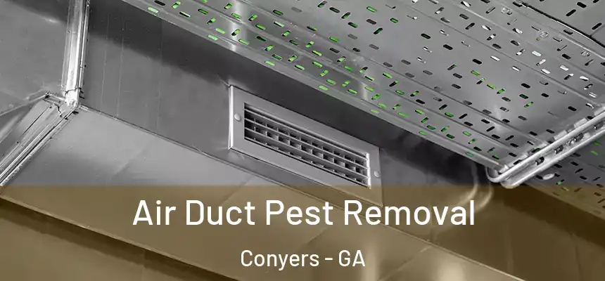 Air Duct Pest Removal Conyers - GA