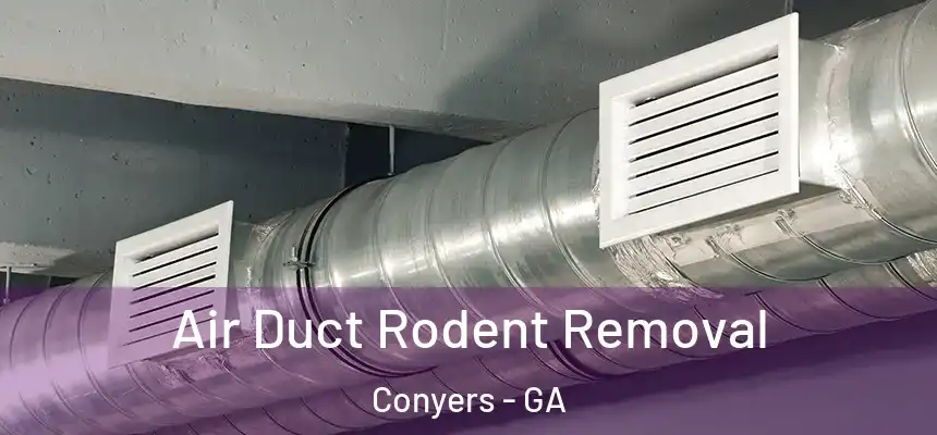  Air Duct Rodent Removal Conyers - GA
