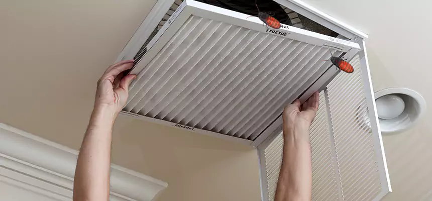Preventive Cockroach-Proofing for Ducts in Conyers