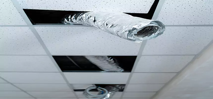 Our Air Duct Pet Hair Removal Services in Conyers, GA