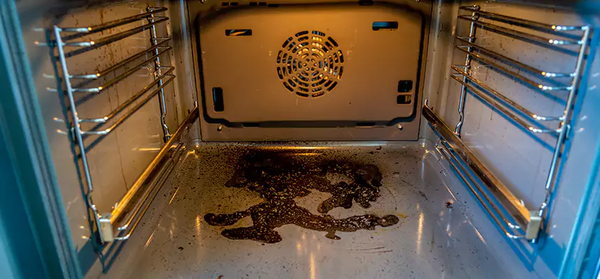 Our Dryer Vent Mold Cleaning Services in Conyers, GA