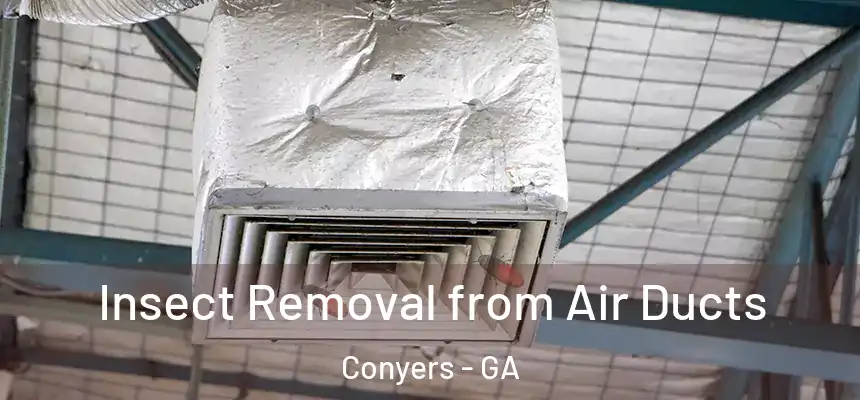 Insect Removal from Air Ducts Conyers - GA