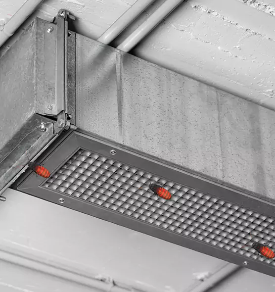 About Air Duct Cockroach Removal in Conyers, GA