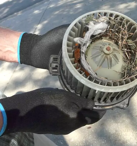 About Air Duct Mice Removal in Conyers, GA