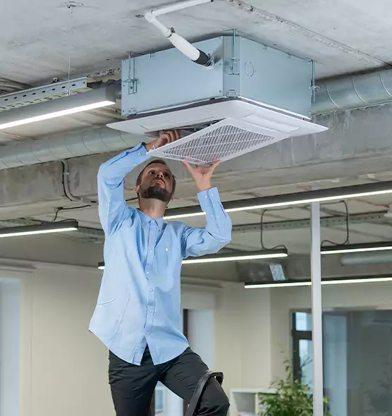 Advanced Rodent Droppings In Vents in Conyers, GA