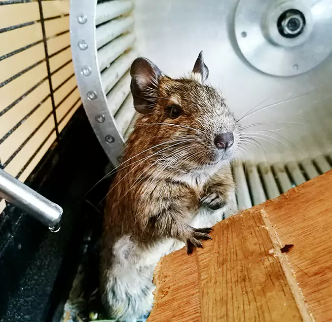 Why Homeowners & Businesses Trust Us Conyers, GA