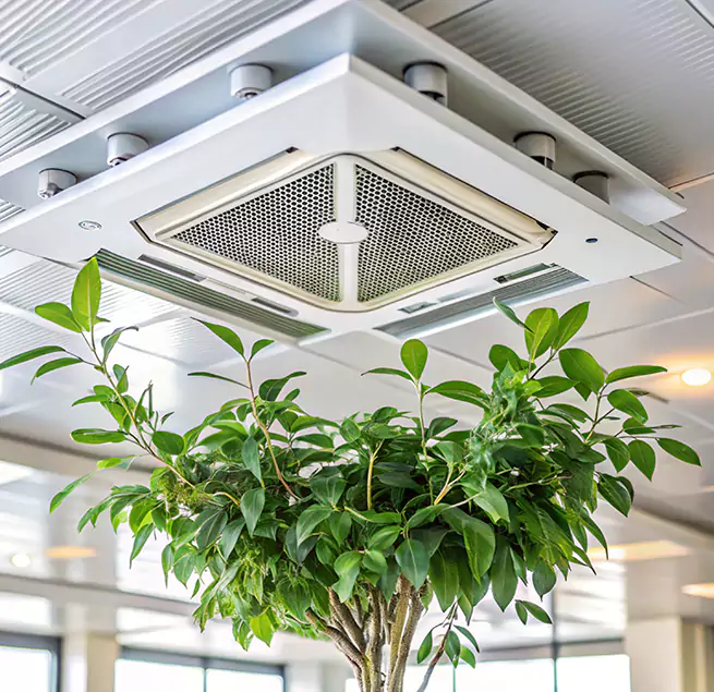 Why Homeowners & Businesses Trust Us in Conyers, GA?